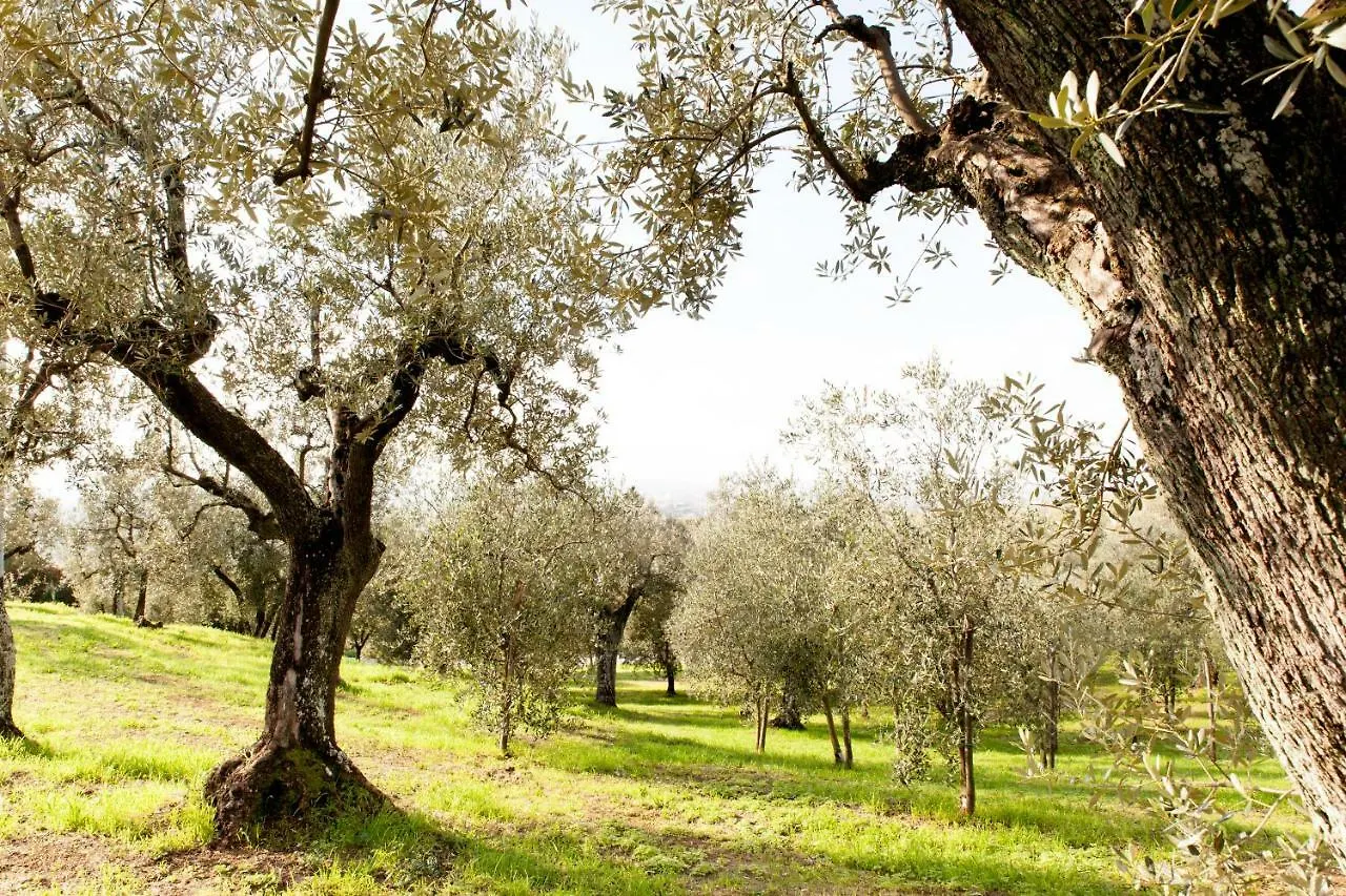 Agriturismo Podere Rondinaio Lamporecchio Bed & Breakfast