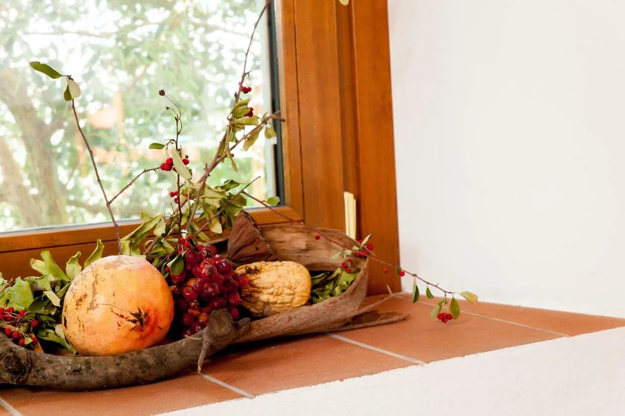 Bed & Breakfast Agriturismo Podere Rondinaio Lamporecchio