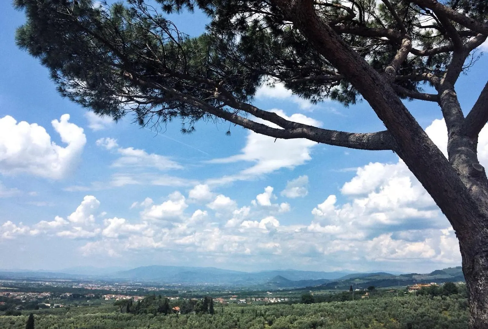 Agriturismo Podere Rondinaio 람포레키오 2*,  이탈리아