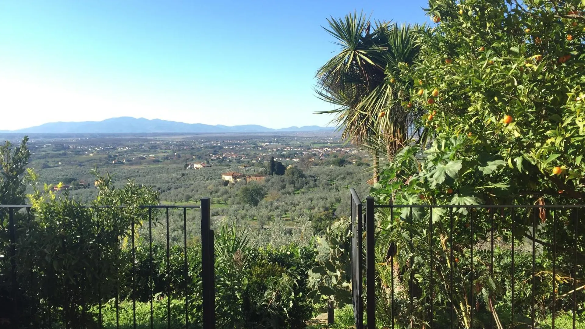 B&B Agriturismo Podere Rondinaio 람포레키오